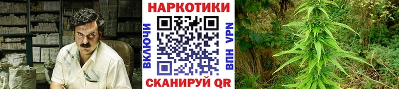 Какие есть наркотики Заринск Alpha-PVP  Меф мяу мяу  Cocaine  ГАШИШ  Конопля 